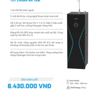 Máy lọc nước RO Karofi KAQ-D365